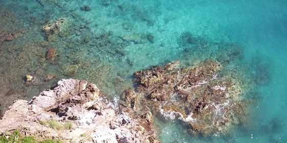 Isla Pajarera
